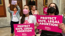Supporters of reproductive rights protest in Kentucky on Wednesday.