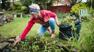 Woman weeding flowerbed with sack of garden waste