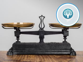 Balance your budget