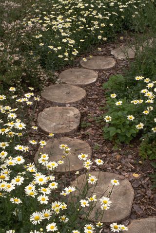cottage garde path ideas: log stepping stones