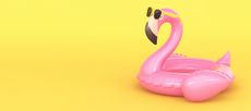An inflatable flamingo.