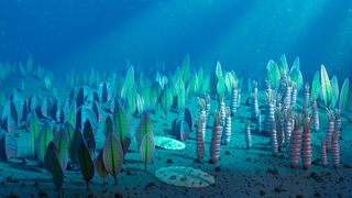 Ediacaran creatures may have been more similar to modern animals than previously thought.