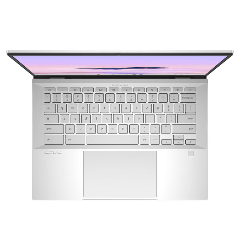 ASUS ExpertBook CX54 Chromebook Plus