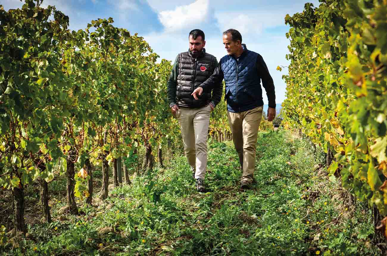 Oenologist, Stefano Casadei and agronomist and technical director, Alfredo Figus