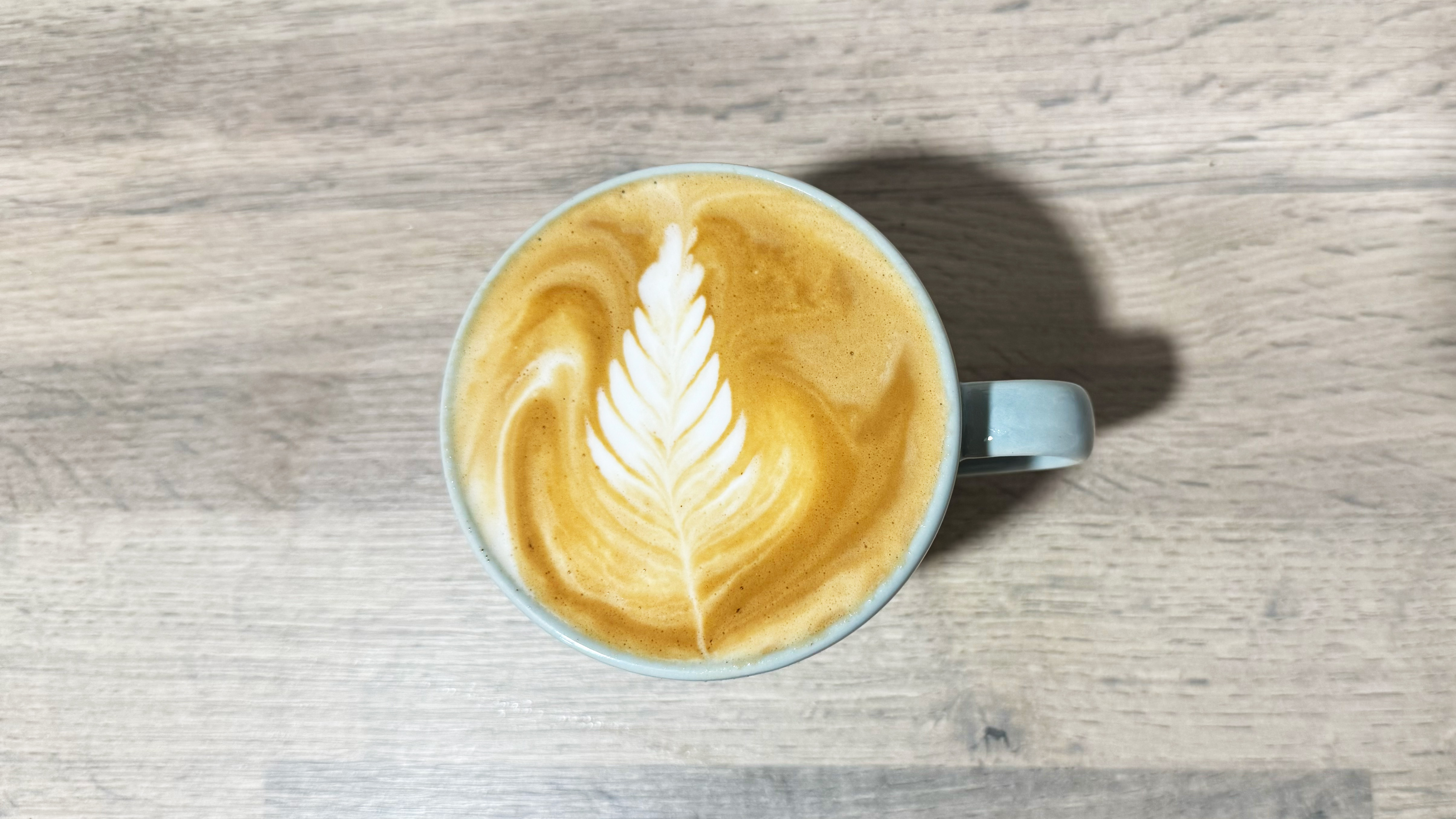 a photograph of latte art made on the de'longhi stilosa