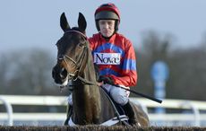 Sprinter-Sacre.jpg