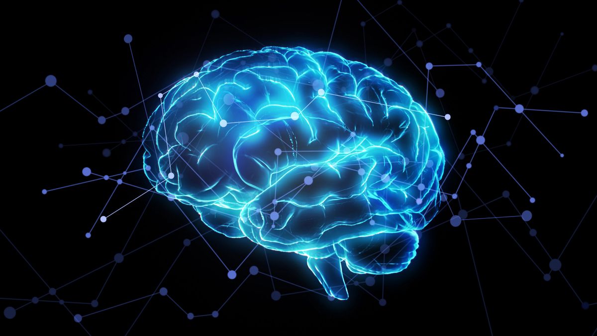 Brain activity illustration.