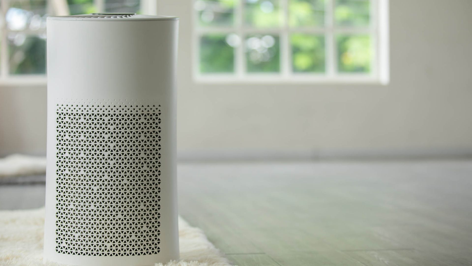an air purifier in a rug in a white room