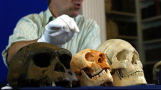 Professor Chris Stringer of the Natural History Museum holds his hand over a skull (C) that was found at a cave site called Liang Bua