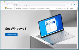 A screenshot of a malware-distribution website pretending to offer Windows 11 installer files.