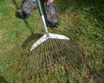 How to aerate a lawn, with expert tips from Monty Don | Gardeningetc