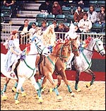 269019C0-6216-4682-ADFD-069BE4552C1B.jpg