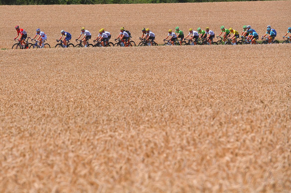 The bunch on stage 7 of the Tour de France