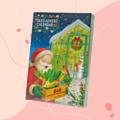 B&Q Verve Seed Advent Calendar