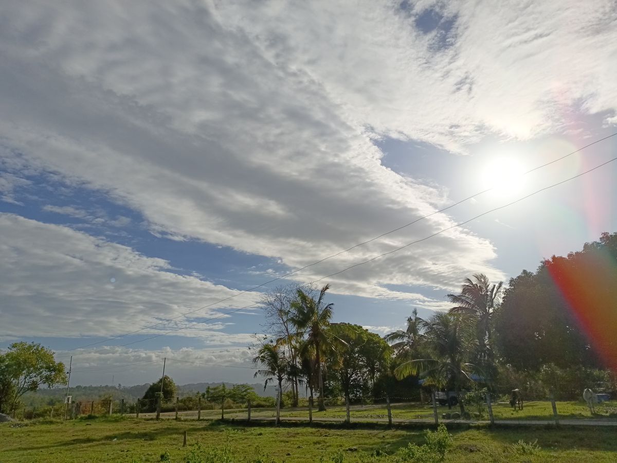 Tecno Camon 20 Pro 4G sample shots