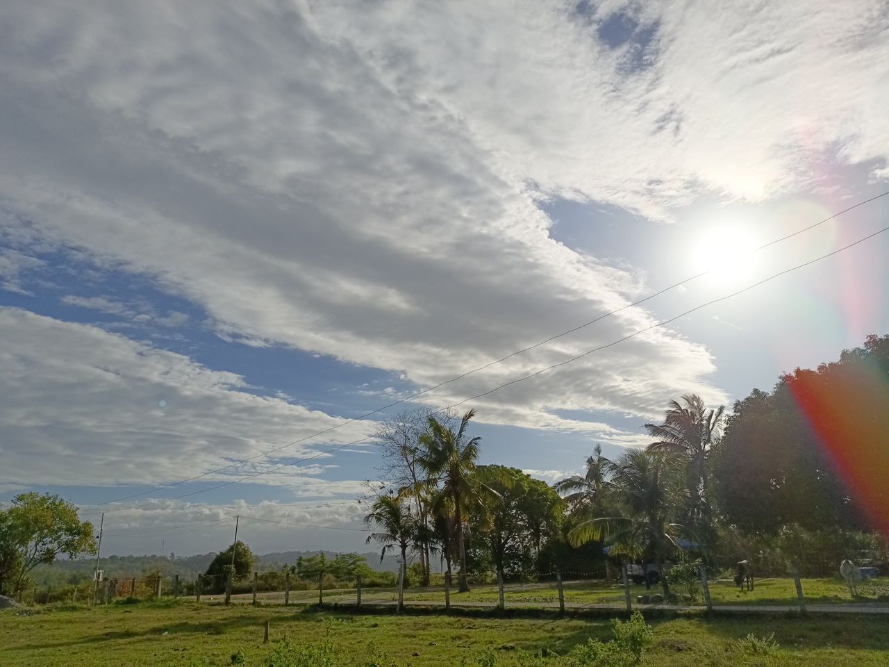 Tecno Camon 20 Pro 4G sample shots