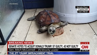 Jimmy Kimmel pictures McConnell as a turtle