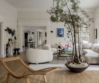 modern interior with white curved sofas and tall houseplant