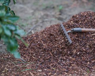 pile of bark chips for garden mulch