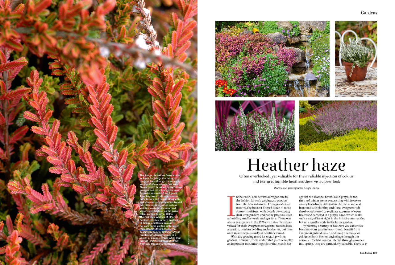 Period Living November 20 preview