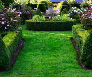 formal garden design with roses and urn
