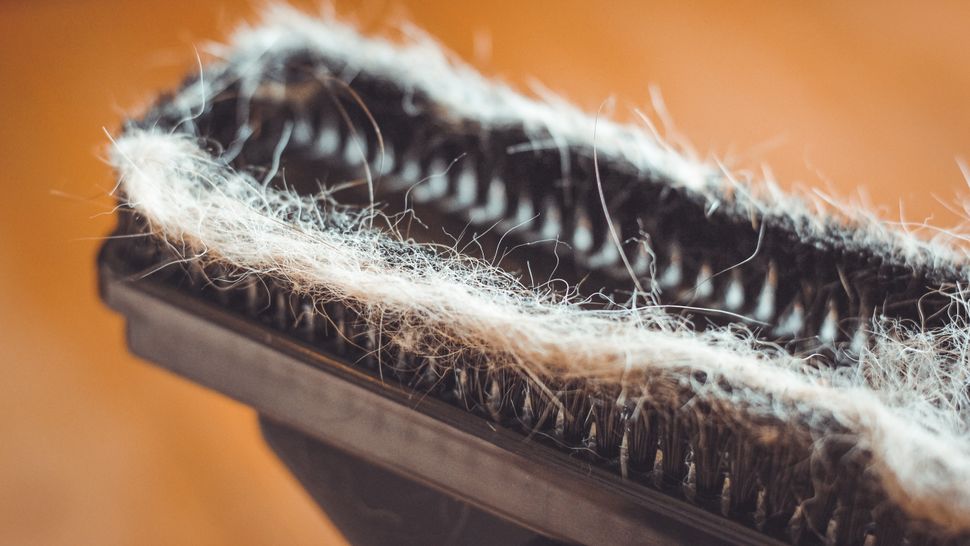 How to fix a vacuum cleaner with no suction TechRadar