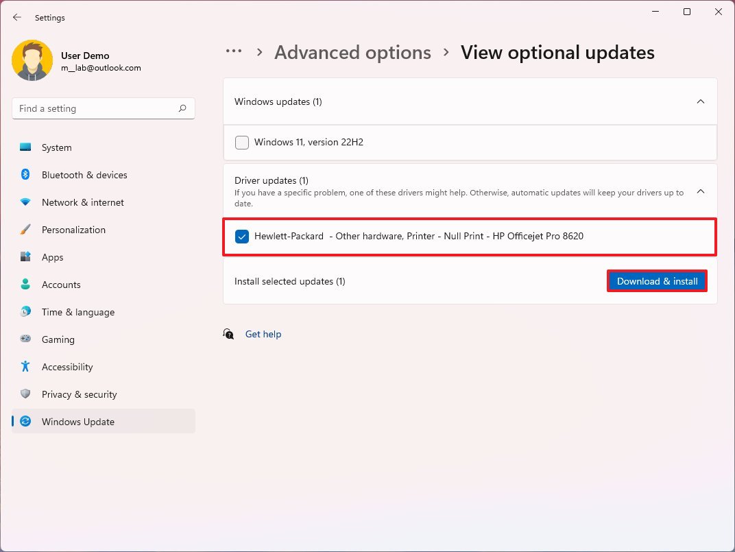 Windows 11 install driver update