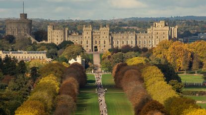 Horse chestnut and London plane trees lining the Long Walk in front of Windsor Castle display autumn colours on 23 October 2022