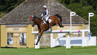 Arctic Soul during Day Three of The Land Rover Burghley Horse Trials 2017 on September 2, 2017 in Stamford, England.