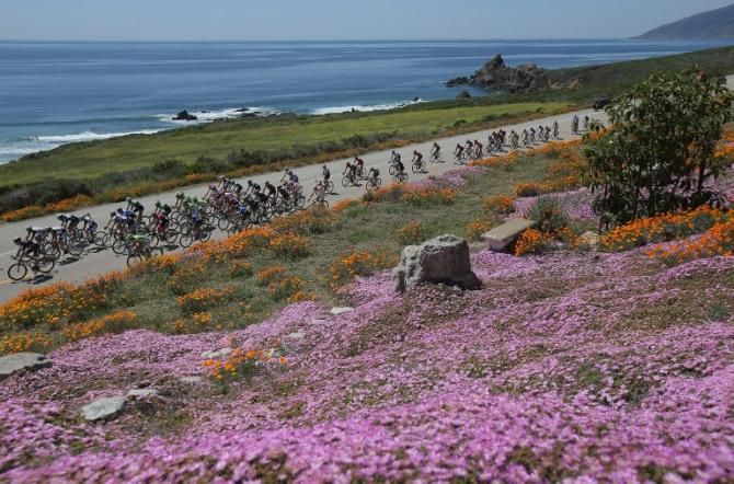 Picture perfect at the 2014 Tour of California