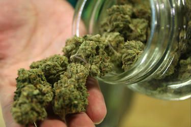 Marijuana prices have plummeted since December