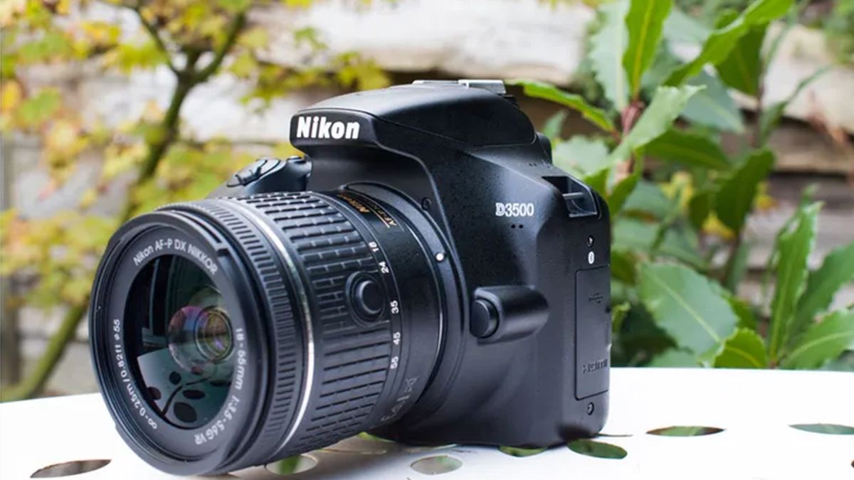 Review photo of the Nikon D3500