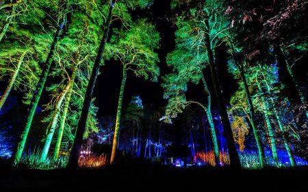 National Arboretum festive light trail. ©Johnny Hathaway