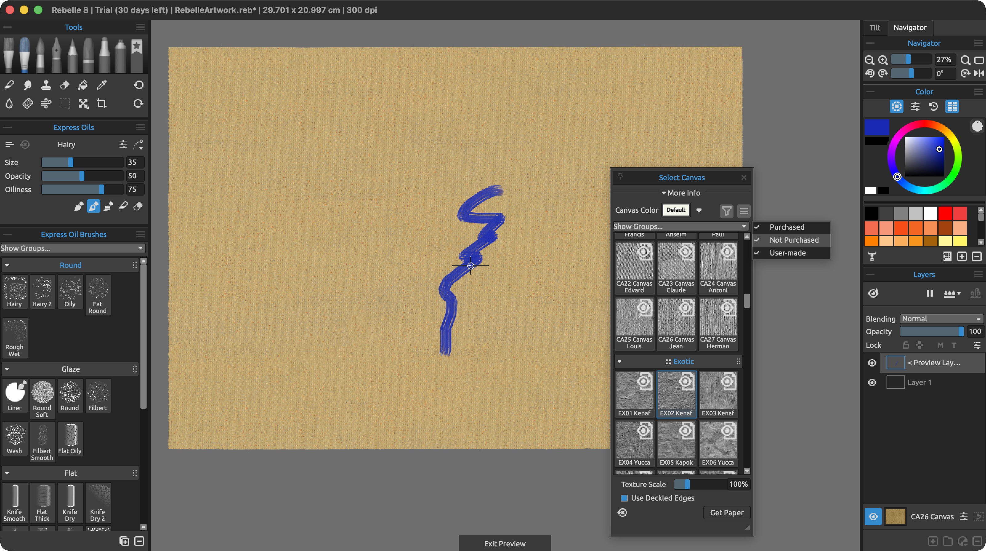 Testing Rebelle 8 on a MacBook Pro M5