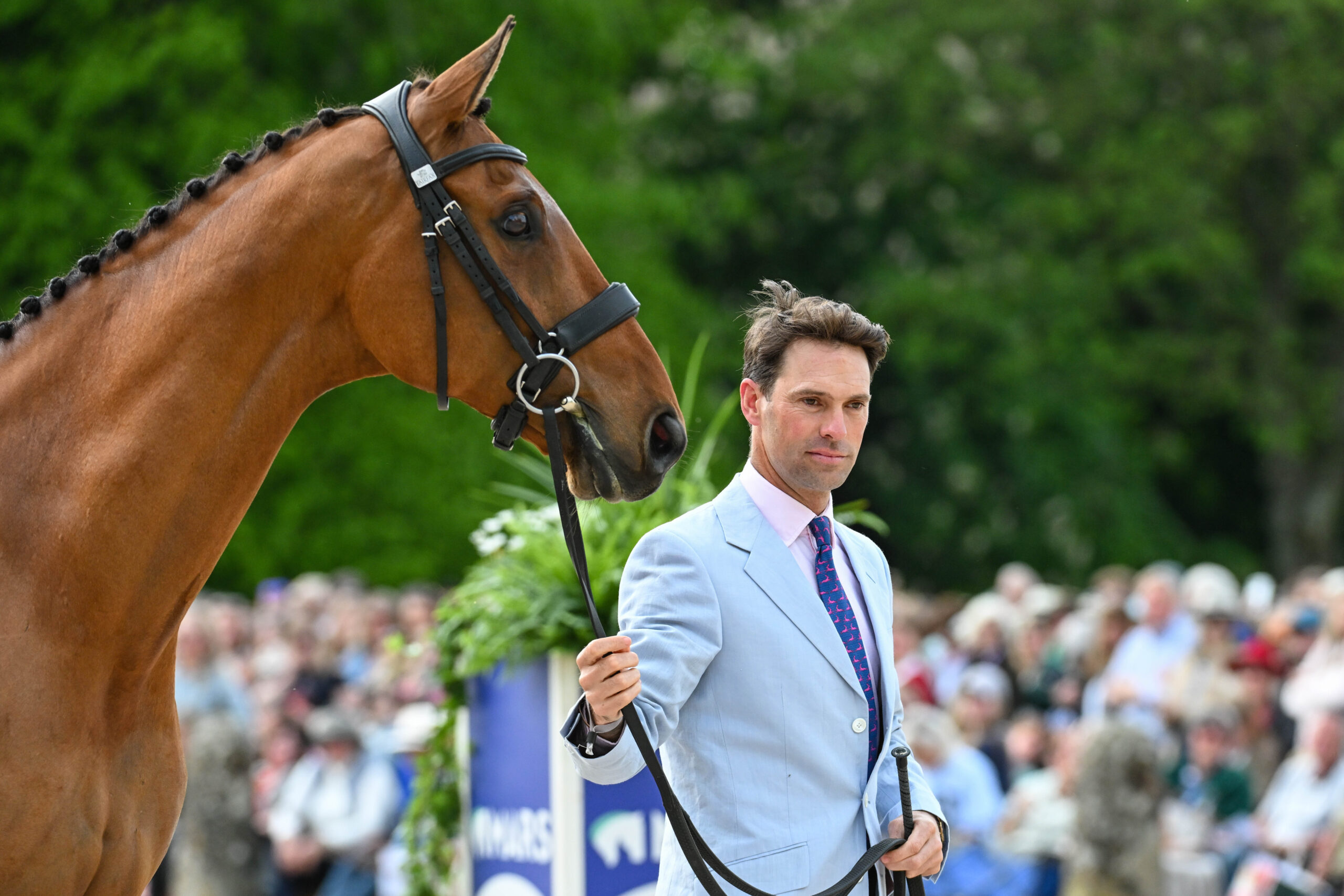 Badminton Horse Trials trot-up photos: Harry Meade and Superstition