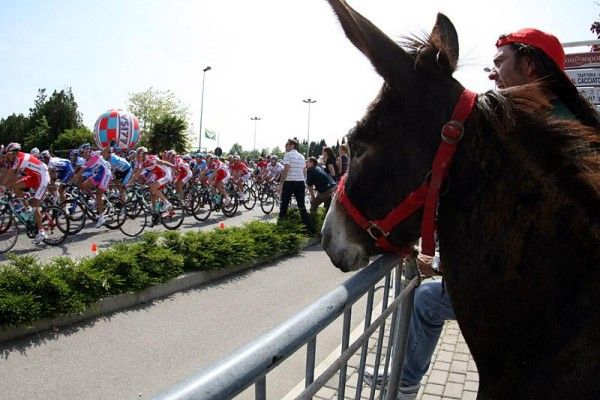 Everyone comes out to watch when the Giro d'Italia peloton rolls by.