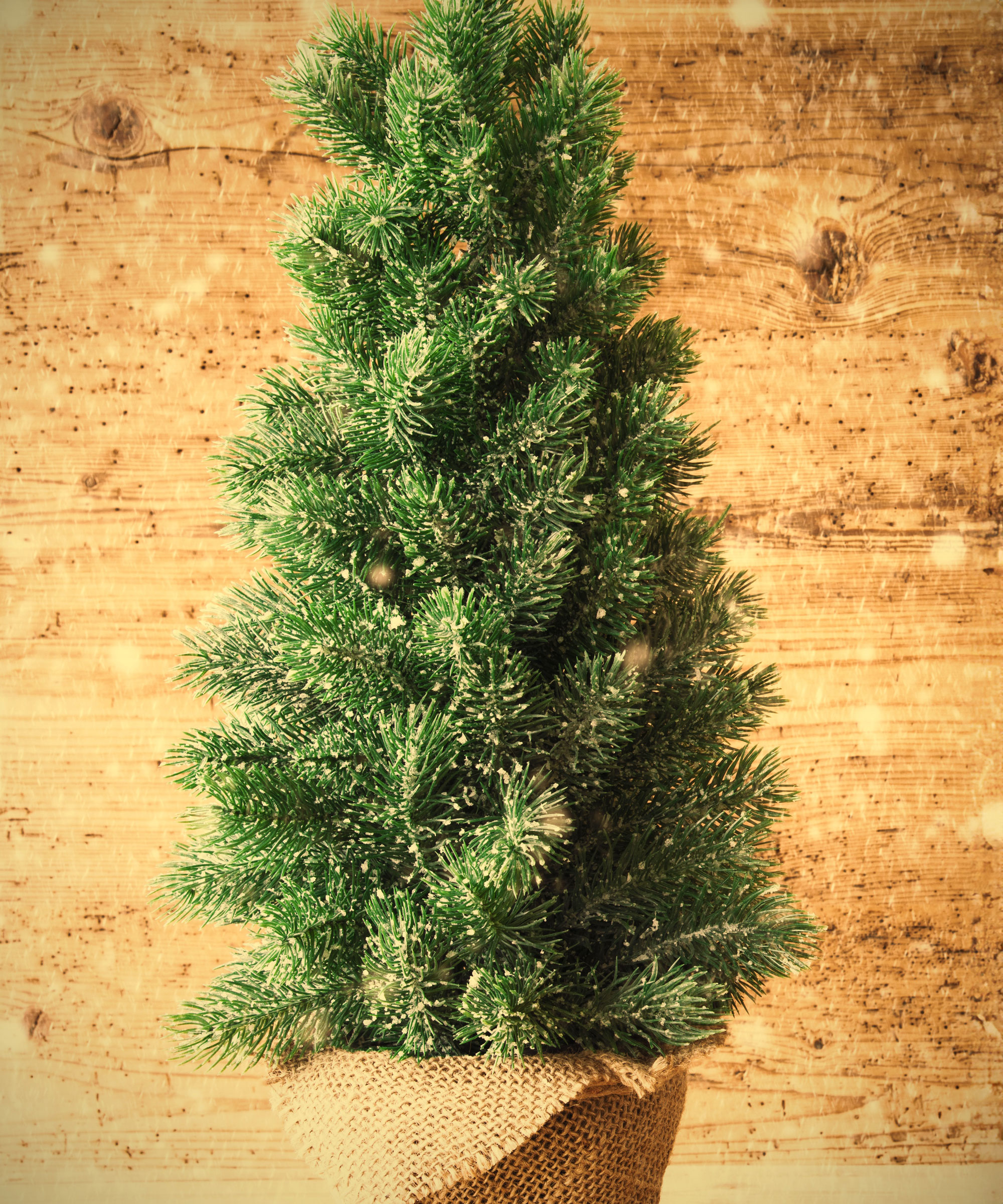 DIY mini Christmas tree in burlap sack pot