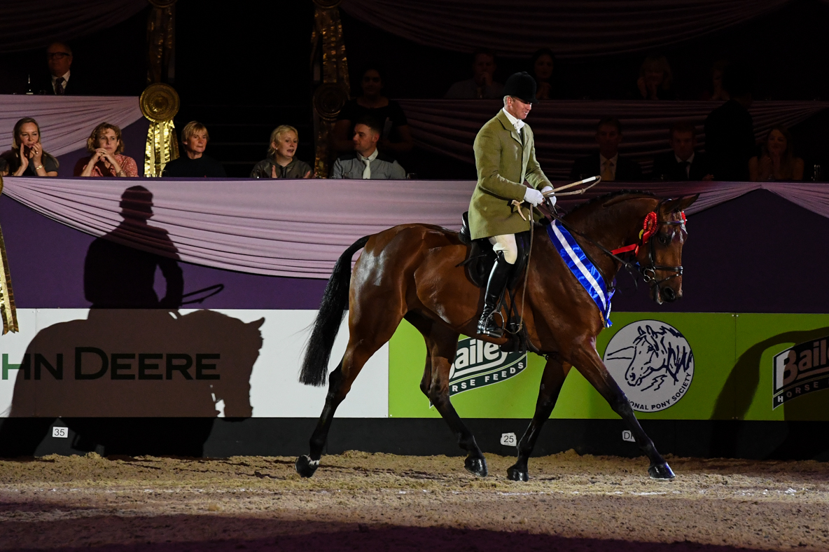HorseNo551_HOYS_PN19_140228.jpg