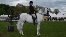 Arimathea, 2024 Royal Windsor ridden Arab champion