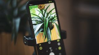 An iPhone sat in a tripod clamp while photographing a plant