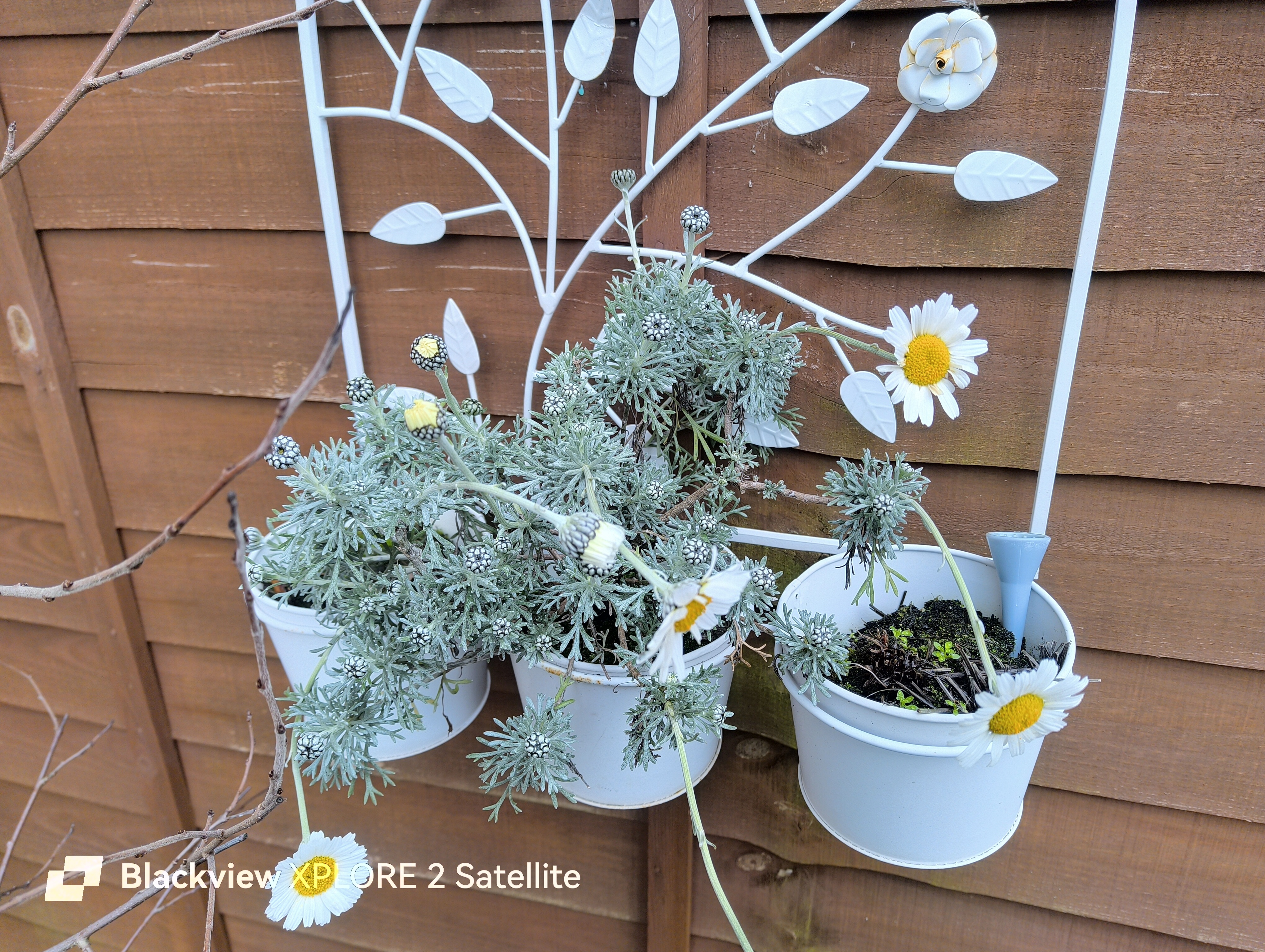 Blackview Xplore 2 Satellite photo examples