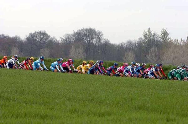 The peloton passes through lush green fields