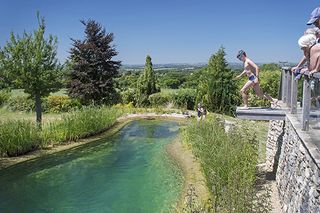 What you need to know about having a natural swimming pool in your garden