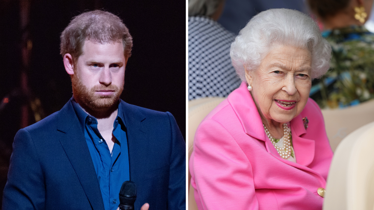 Prince Harry needs 'the fairy dust' of the Royal Family 'on a professional level', says royal expert