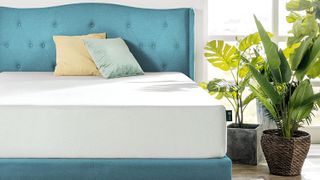 The Zinus 10 Inch Green Tea Mattress on a blue fabric bed frame
