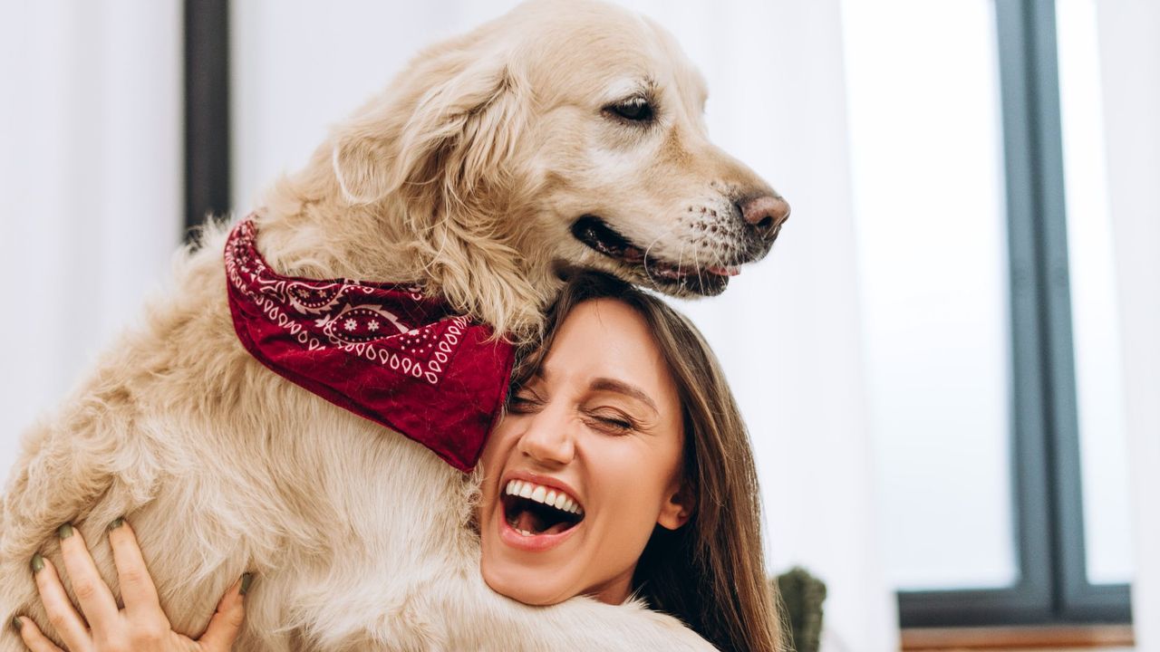 12 great Mother's Day gifts for the dog mom in your life — all under $30