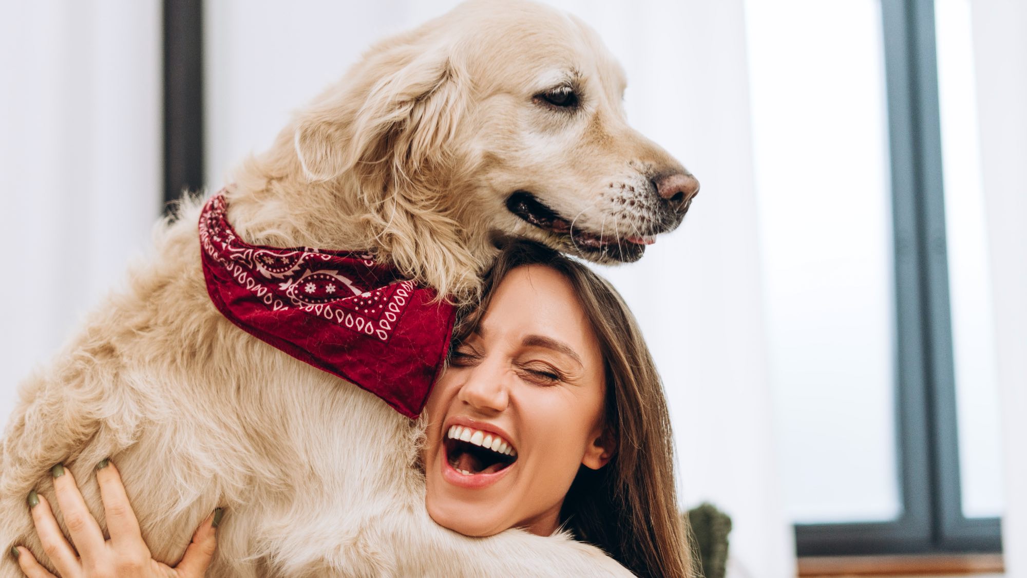 golden retriever hugging woman