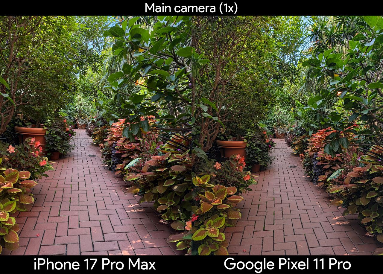 Comparing two photos of plants in a greenhouse between the iPhone 17 Pro Max and Google Pixel 11 Pro