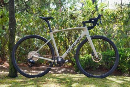 canyon endurace vs specialized roubaix