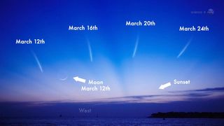The progression of comet Pan-STARRS across the night sky in March 2013 is shown in this NASA graphic.